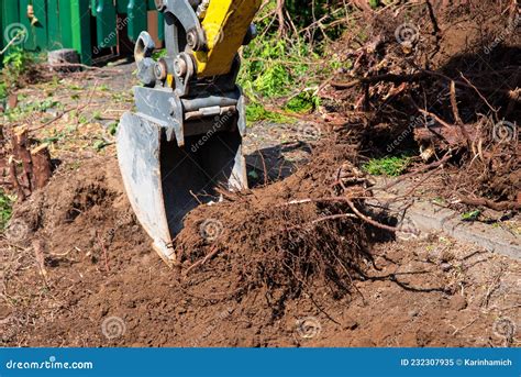 mini excavator for tree removal|excavator stump removal time.